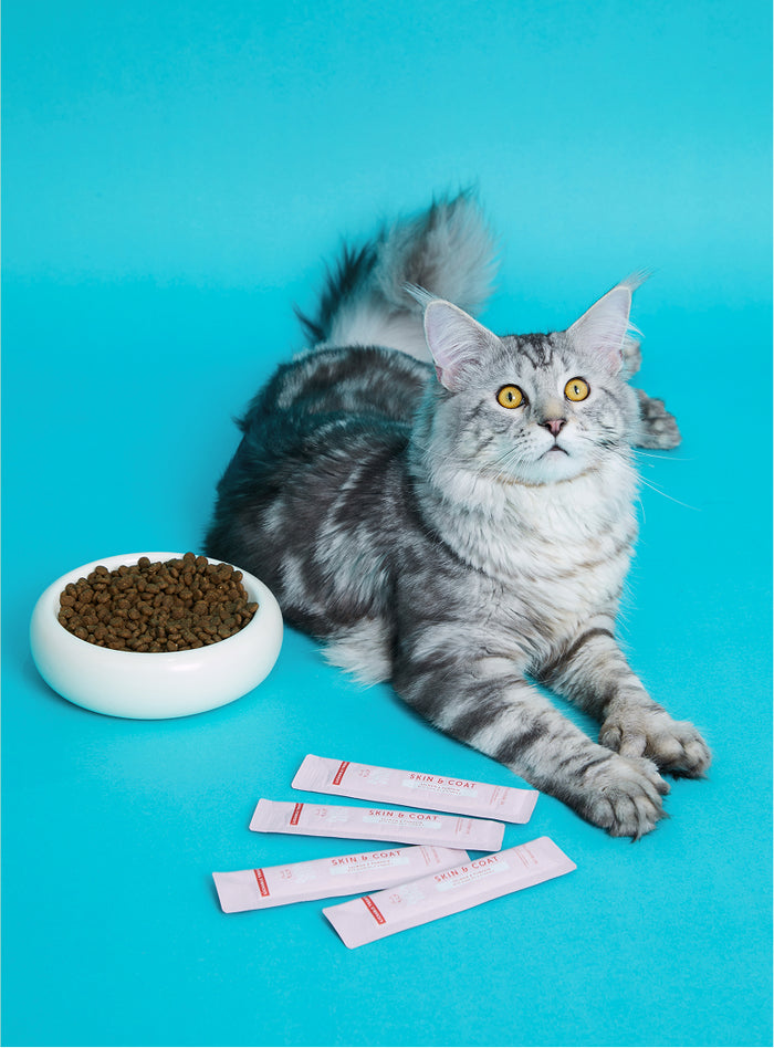 Cat Lickable Treats - Skin & Coat - Salmon with Pumpkin 15gx7