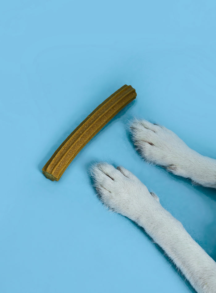 Dog Dental Sticks