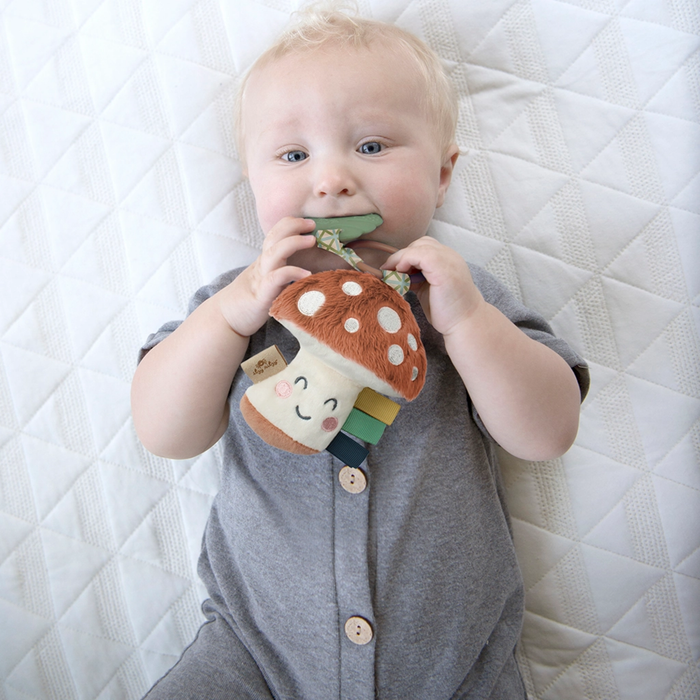 Itzy Pal Mushroom Plush + Teether