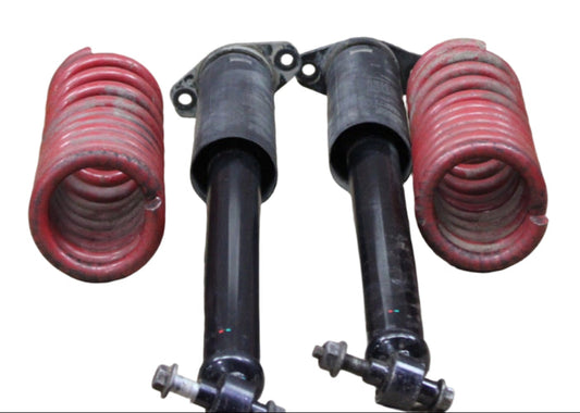 2005-2007 Chrysler 300 Rear Left Right Set Shock Strut Coil Spring Suspension