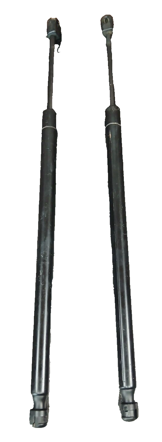 2011-2023 Dodge Charger Front Hood Lift Shock Strut Support LH & RH Set