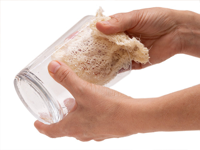 Agave Dish Scrubber
