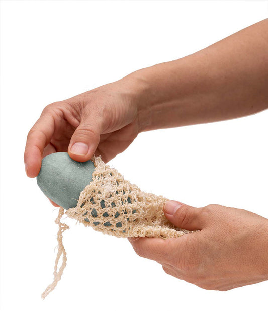 Agave Pouch