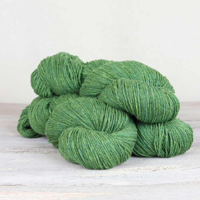 Shamrock