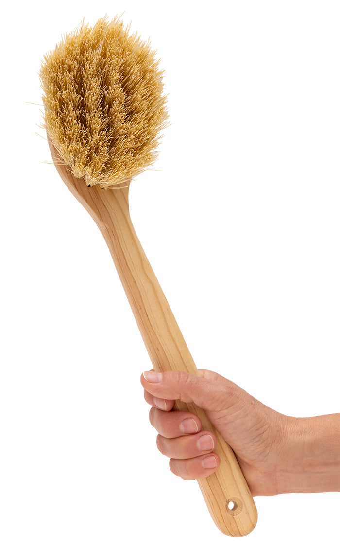 Body brush with handle