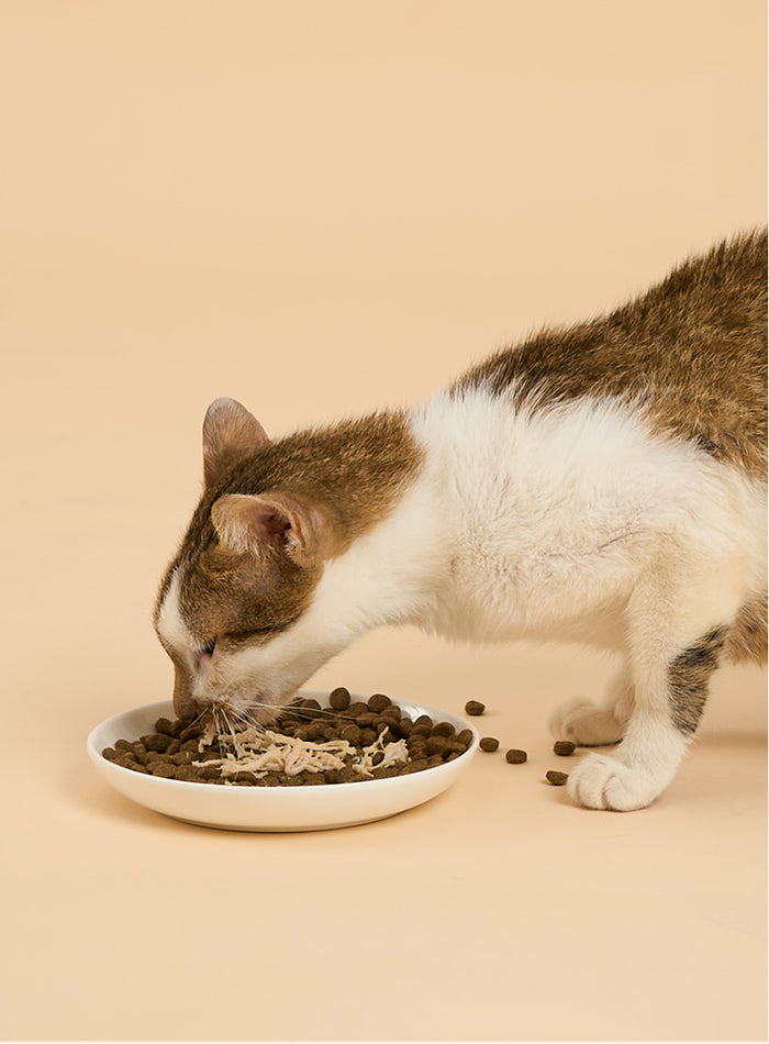Cat Food Topper (Pouch) - Chicken with Duck in Broth 70g