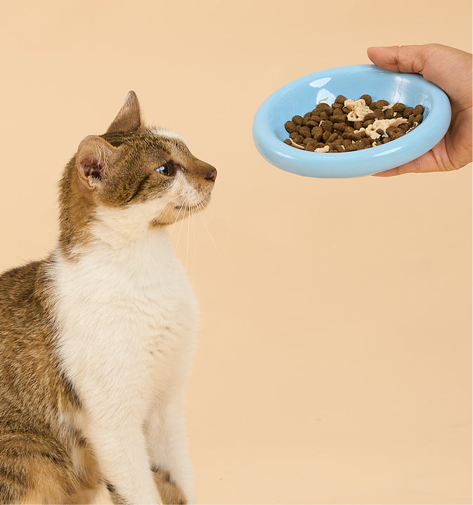 Cat Food Topper (Pouch) - Chicken with Duck in Broth 70g