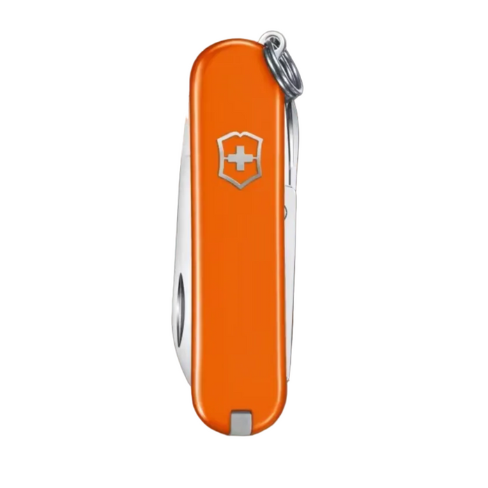 Classic SD Swiss Army Pocket Knife/Multi-Tool