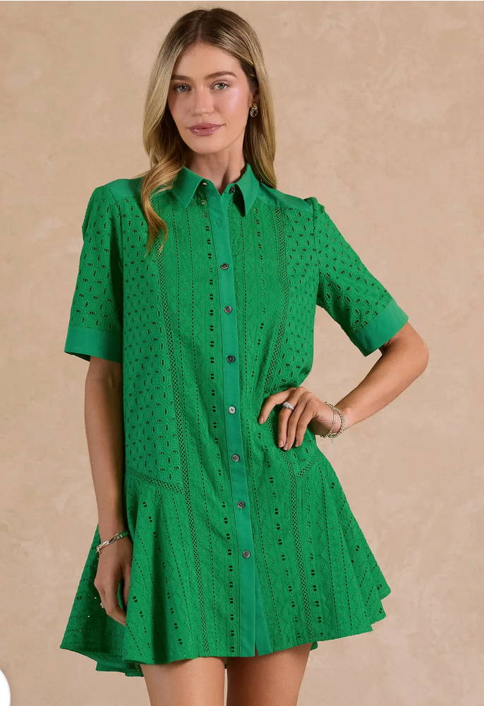 Current Air Eyelet Button-Down Mini Dress