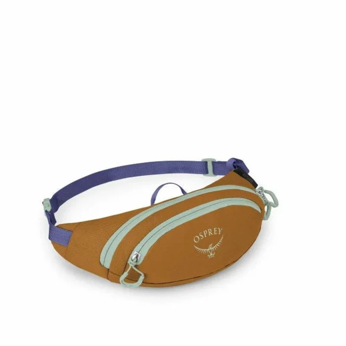 Daylite Mini Waist Fanny Pack