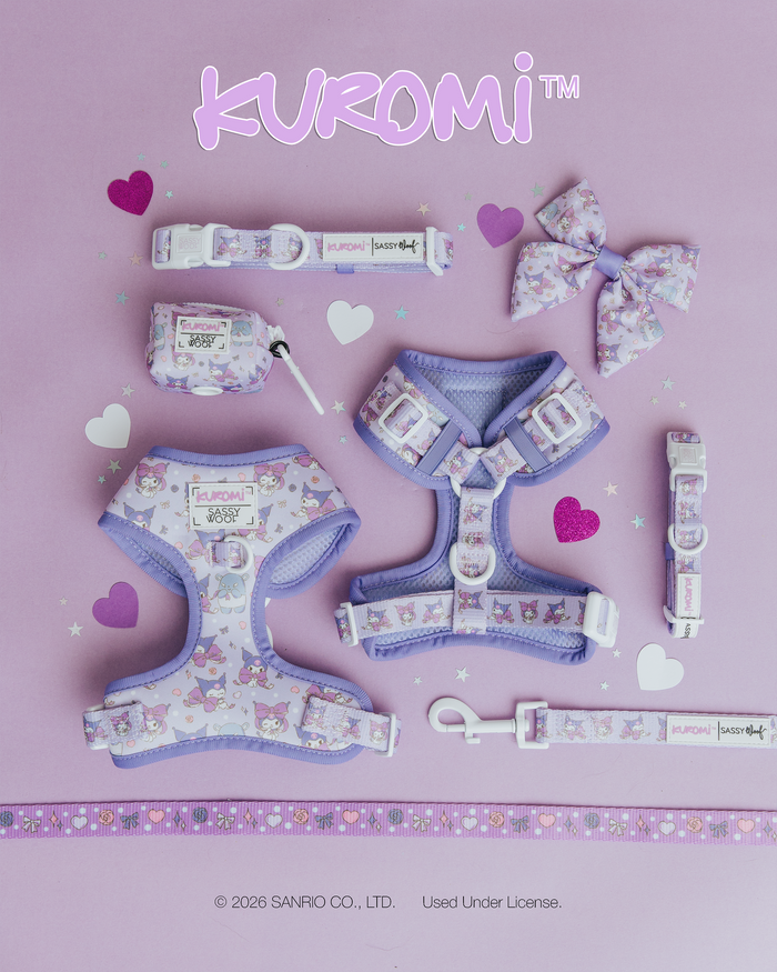 A flat lay of Sassy Woof's Kuromi™ Dog Adjustable Harness and matching pet accessories in purple and lavender, including collars, leash, bow, pouch, and decorative tape, displayed on a lavender background with heart confetti.