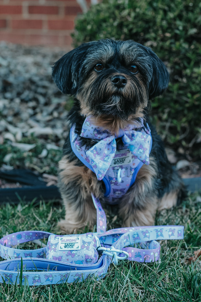 A small black and brown dog sits on grass wearing the Sassy Woof Dog Adjustable Harness - Kuromi™ with a matching bow tie. In front of it are a matching leash and waste bag holder. Bushes and a brick wall are in the background.