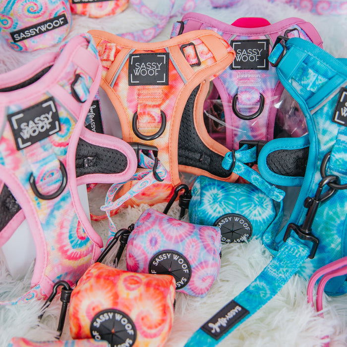 A colorful Sassy Woof display features dog harnesses, leashes, and the Tropical Tides Dog Waste Bag Holder in pastel hues on white fur—a perfect tropical accessory collection for your pup.