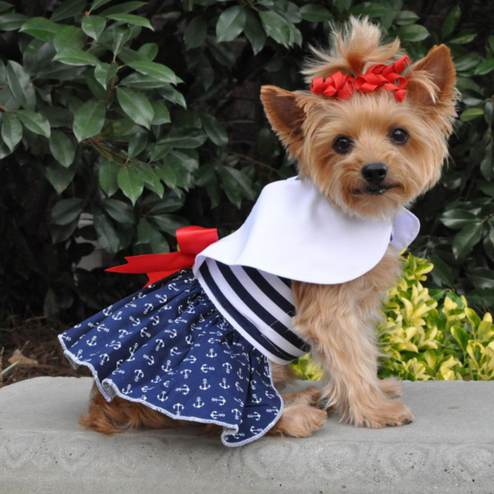NAUTICAL-DOG-PARTY-DRESS-BOULDERBARKS