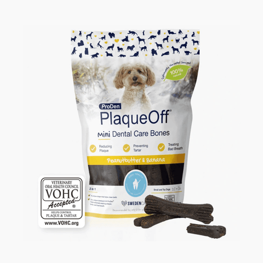 White background with a packet of ProDen PlaqueOff Mini Dental Care Bones - Peanut Butter and Banana flavour for Small Dogs. Pictured on the packet is a long haired cream dog.