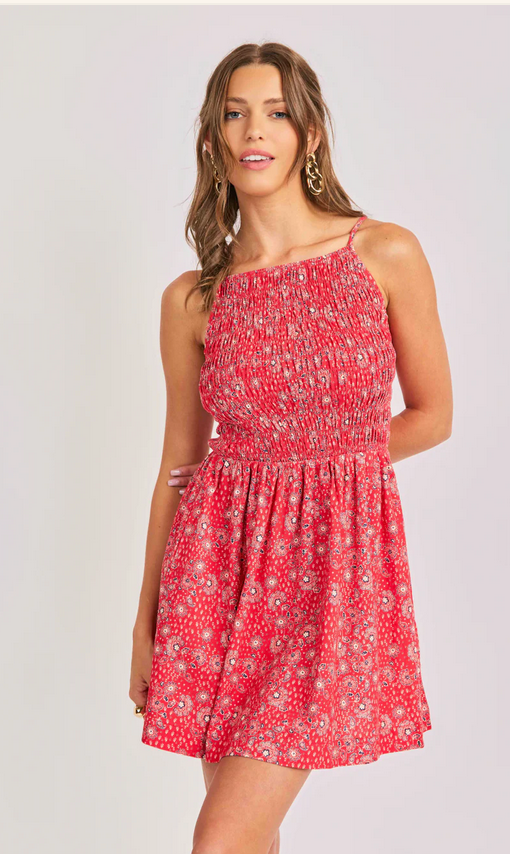Sadie & Sage Firecracker Mini Dress