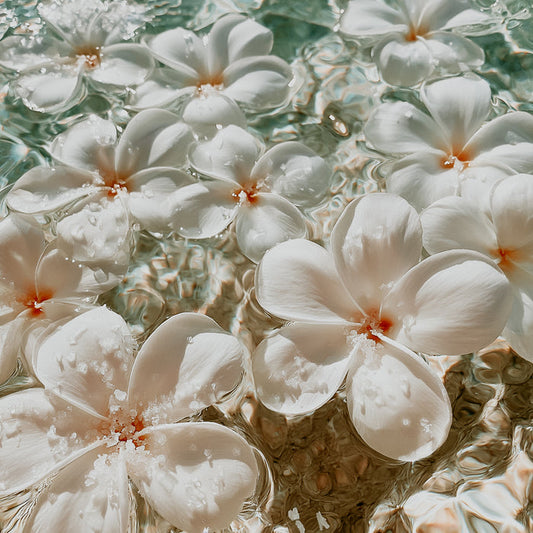Salted Tiare | Fragrance Oil