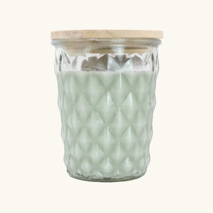 Swan Creek Candle Co. Timeless Jar 12 oz-Barefoot in the Park
